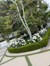 Avatar for EM Landscaping & Tree Service