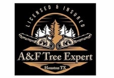 Avatar for A&F Tree Expert