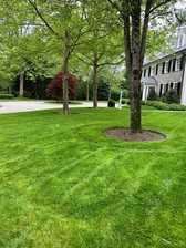 Avatar for T.V.M Landscaping Services