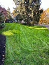 Avatar for T.V.M Landscaping Services