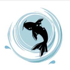 Avatar for Black Koi Water Features and Ponds