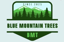Avatar for Blue mountain trees