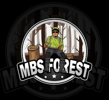 Avatar for MBS FOREST
