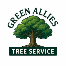 Avatar for Green allies tree service