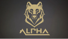 Logo for Alpha Fences & Masterworks LLC
