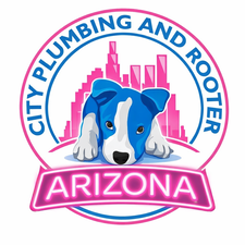 Avatar for City Plumbing & Rooter AZ, LLC