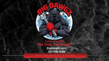 Avatar for Big Dawgz Drain Cleaning