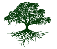 Avatar for Deep Roots Construction LLC