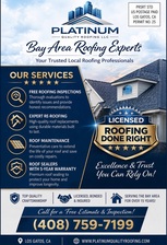 Avatar for Platinum Quality Roofing