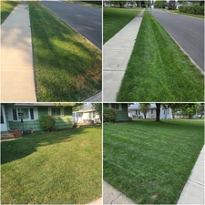 Avatar for Affordable Lawn Repair