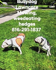 Avatar for Cut time lawn