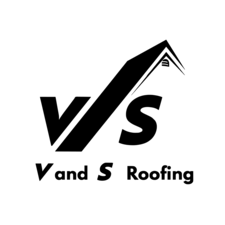 Avatar for V and S Construction Services INC