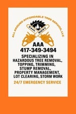 Avatar for All Around Affordable, LLC