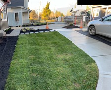 Avatar for Lorenzo Landscaping & House Cleaning