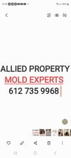 Avatar for Allied Property Services