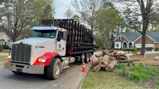 Avatar for Red Leaf Tree Service  LLC
