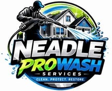 Avatar for Neadle ProWash, LLC