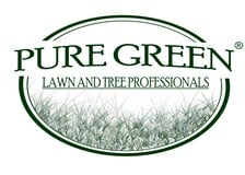 Avatar for Pure Green