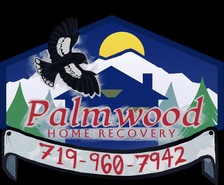 Avatar for Palmwood home recovery llc