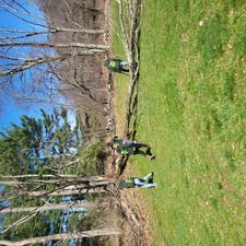 Avatar for Matthews Landscaping, LLC