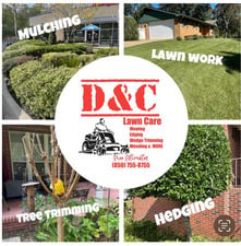 Avatar for D & C LAWN SERVICES AND CARE LLC
