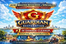 Avatar for Guardian restoration