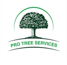 Avatar for Pro Tree Services, LLC