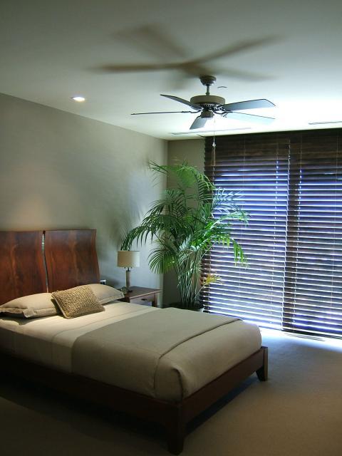 Contemporary Bedroom with dark wood blinds
