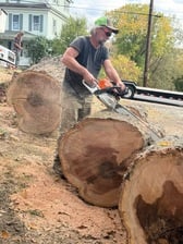 Avatar for Dave's tree service