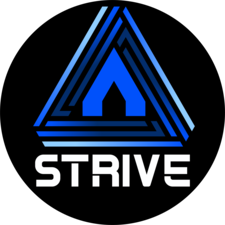 Avatar for Strive Handyman