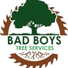 Logo for BAD BOYS TREE SERVICE LLC