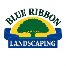 Avatar for Blue Ribbon Landscaping