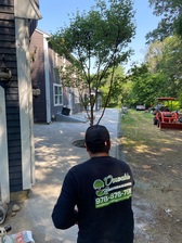 Avatar for Oswaldo Landscaping & construction LLC