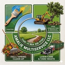 Avatar for AMALIE MULTISERVICE LLC