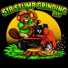 Avatar for 518 Stump Grinding LLC