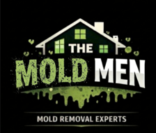 Avatar for THE MOLD MEN LLC