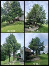 Avatar for Frankys landscaping and tree service