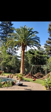 Avatar for Sierra View Tree Services Inc.