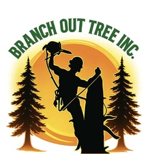 Avatar for BranchOutTreeInc