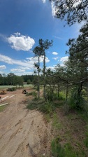 Avatar for Frasier Site & Tree Solutions LLC