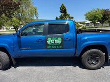 Avatar for Turf Management
