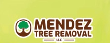 Avatar for MENDEZ TREE REMOVAL