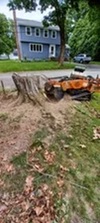 Avatar for WOOD CHUCK STUMP GRINDING