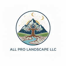 Avatar for All pro landscape