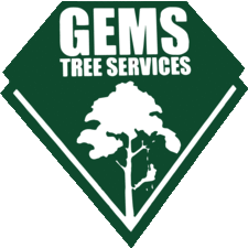 Avatar for Gems Tree Services