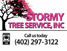Avatar for Stormy Tree Service, Inc.