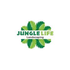 Avatar for Jungle Life Landscape