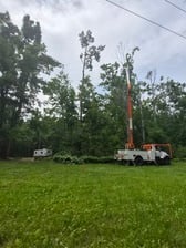 Avatar for MHM Tree Service