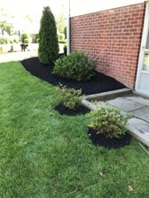 Avatar for Noes Landscaping