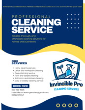 Avatar for Invincible Pro cleaning services